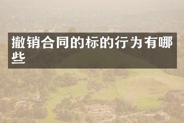 撤销合同的标的行为有哪些
