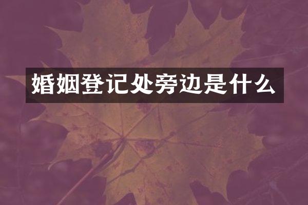 婚姻登记处旁边是什么