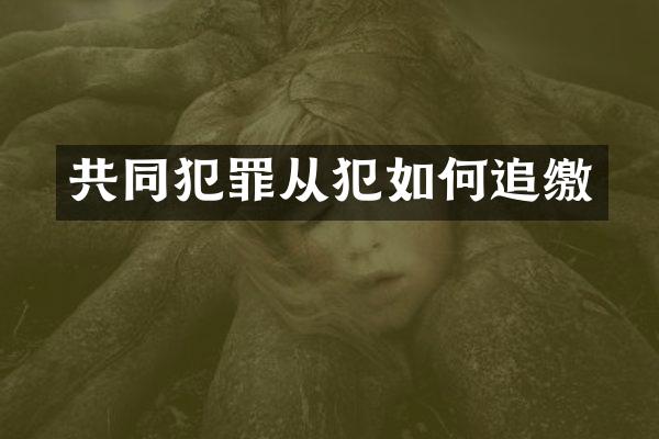 共同犯罪从犯如何追缴