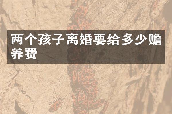 两个孩子离婚要给多少赡养费