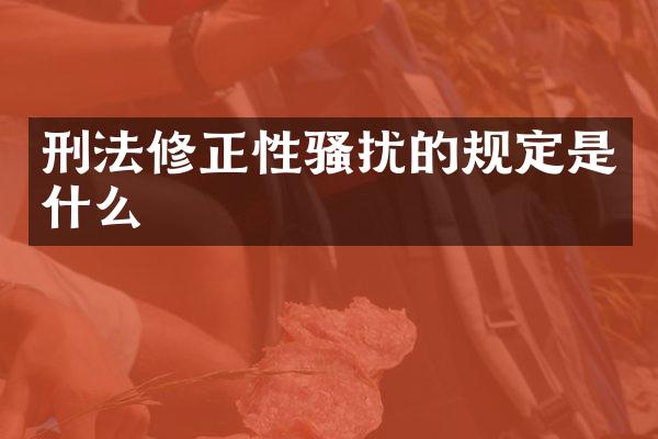 刑法修正的规定是什么