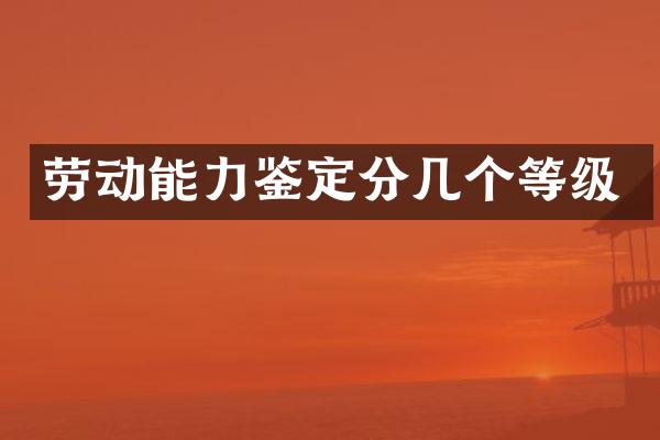 劳动能力鉴定分几个等级
