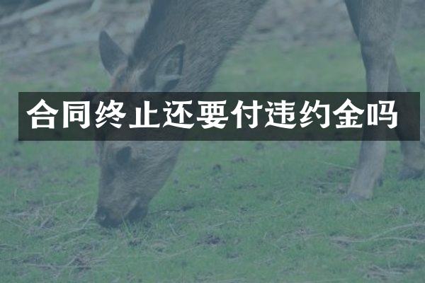合同终止还要付违约金吗