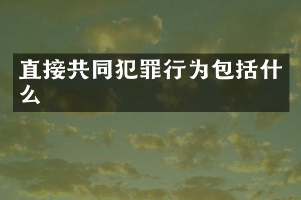 直接共同犯罪行为包括什么