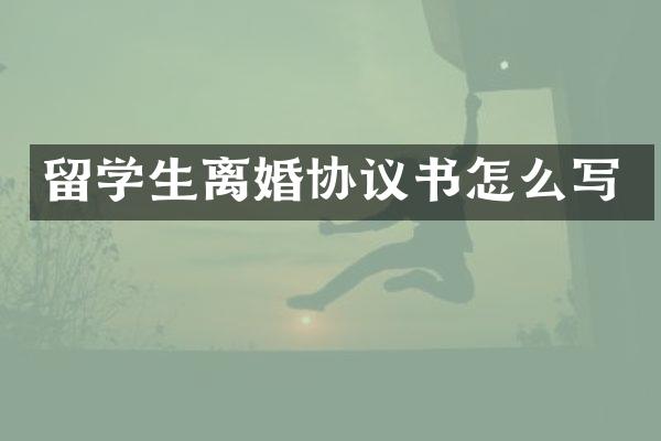 留学生离婚协议书怎么写