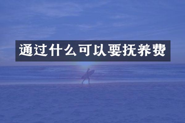 通过什么可以要抚养费