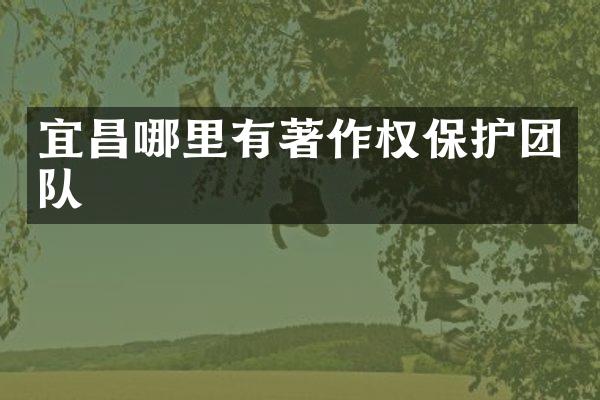 宜昌哪里有著作权保护团队