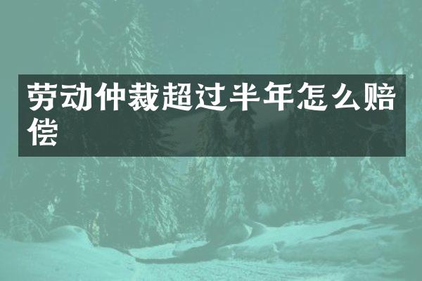 劳动仲裁超过半年怎么赔偿