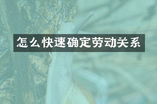 怎么快速确定劳动关系