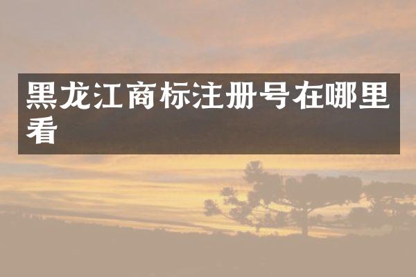 黑龙江商标注册号在哪里看