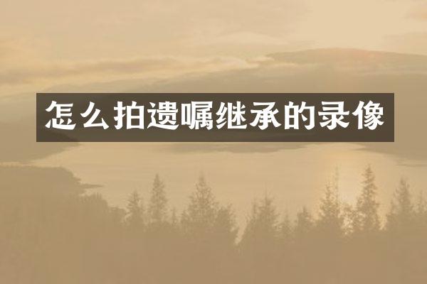 怎么拍遗嘱继承的录像