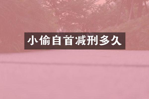 小偷自首减刑多久