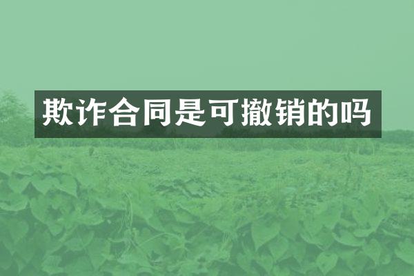 欺诈合同是可撤销的吗