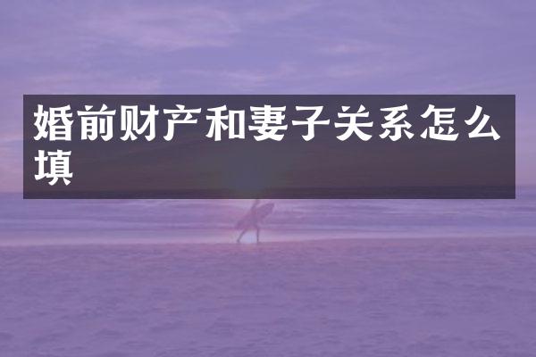 婚前财产和妻子关系怎么填