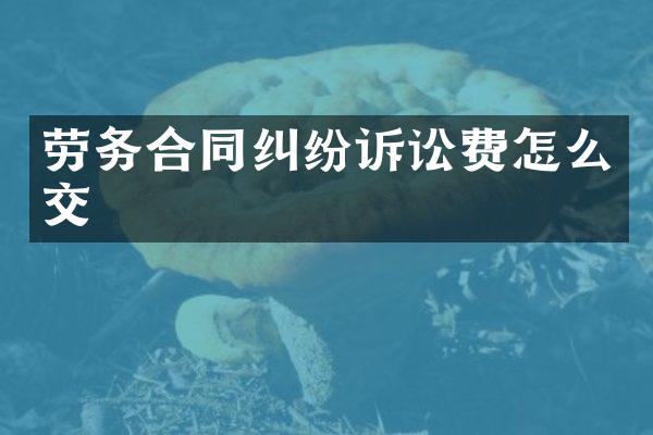 劳务合同纠纷诉讼费怎么交