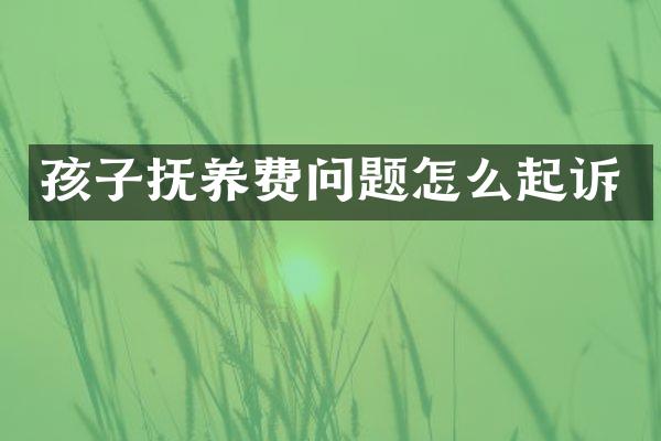 孩子抚养费问题怎么起诉