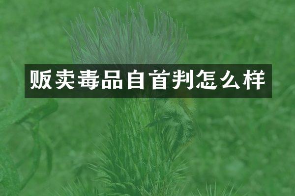 贩卖自首判怎么样
