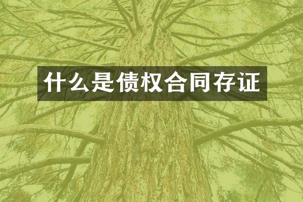 什么是债权合同存证