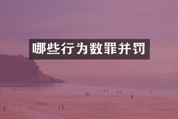 哪些行为数罪并罚