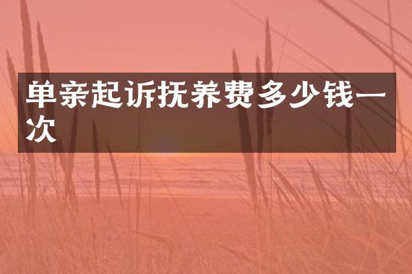 单亲起诉抚养费多少钱一次