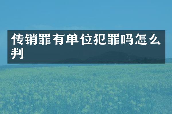 传销罪有单位犯罪吗怎么判