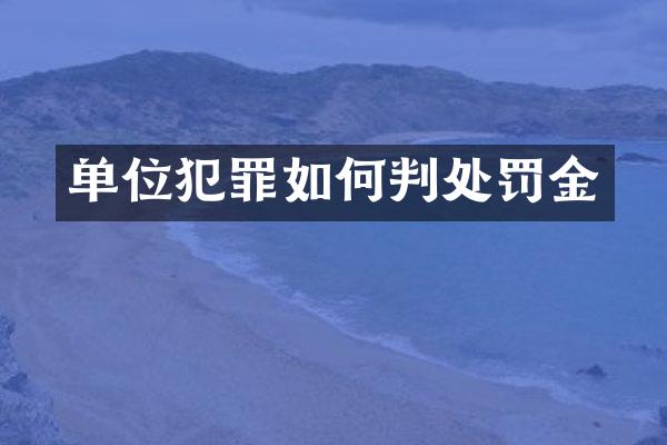 单位犯罪如何判处罚金