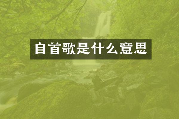 自首歌是什么意思