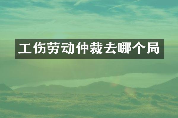 工伤劳动仲裁去哪个局