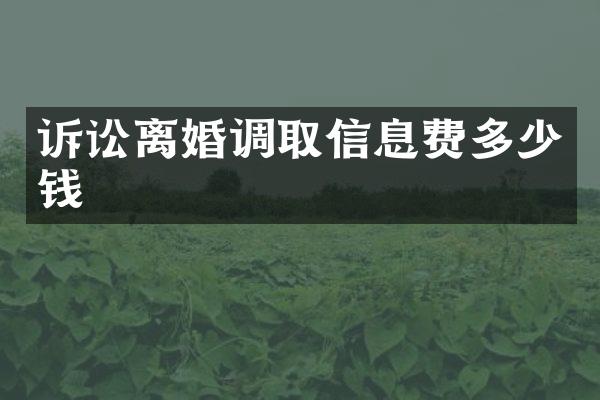 诉讼离婚调取信息费多少钱