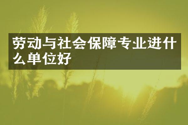 劳动与社会保障专业进什么单位好