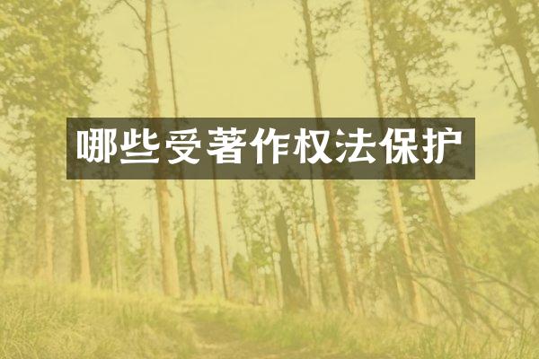 哪些受著作权法保护