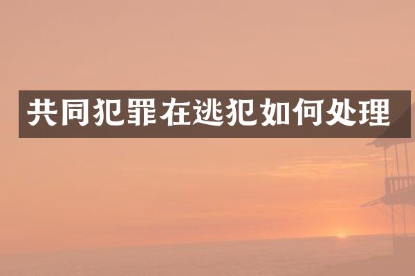 共同犯罪在逃犯如何处理