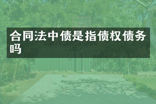 合同法中债是指债权债务吗