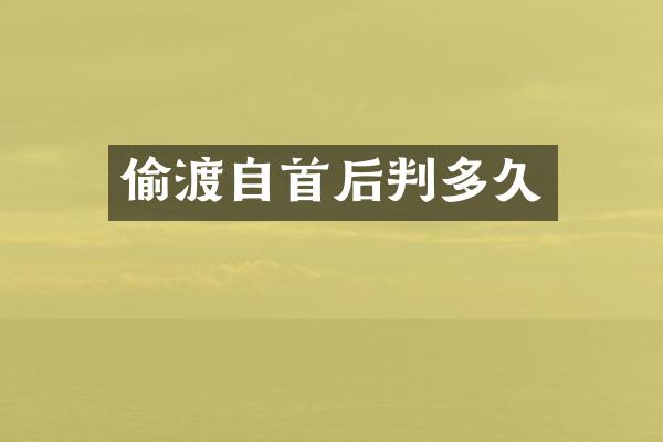 偷渡自首后判多久