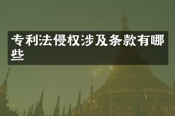 专利法侵权涉及条款有哪些