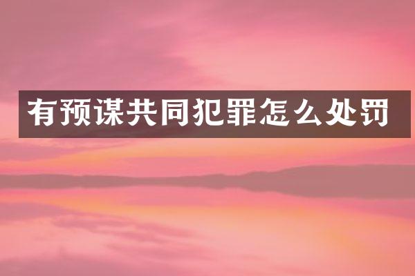 有预谋共同犯罪怎么处罚