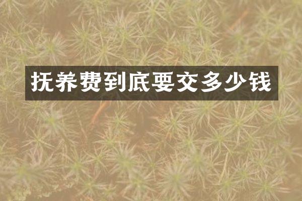 抚养费到底要交多少钱