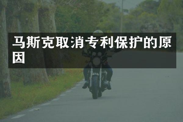 马斯克取消专利保护的原因