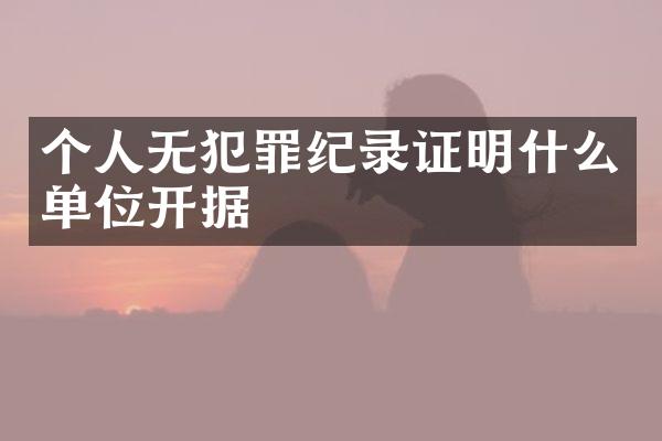 个人无犯罪纪录证明什么单位开据