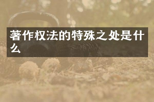 著作权法的特殊之处是什么