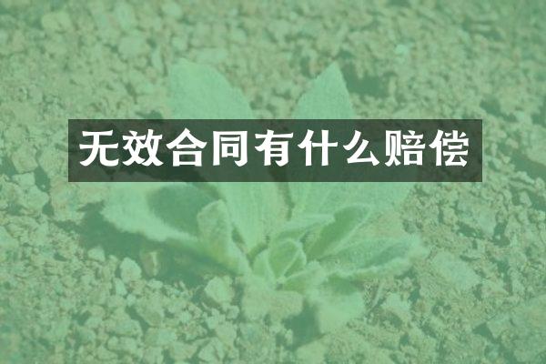 无效合同有什么赔偿