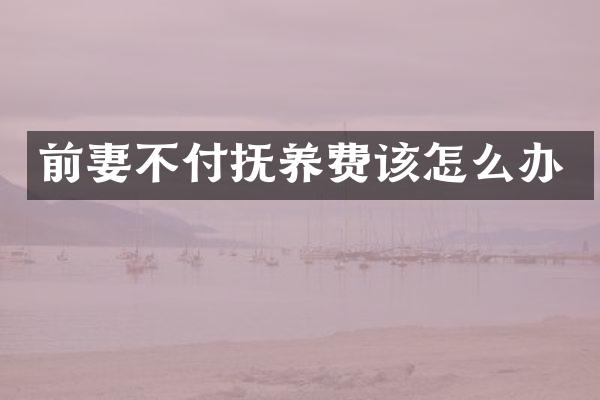 前妻不付抚养费该怎么办