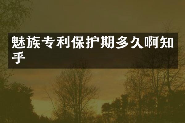 魅族专利保护期多久啊知乎