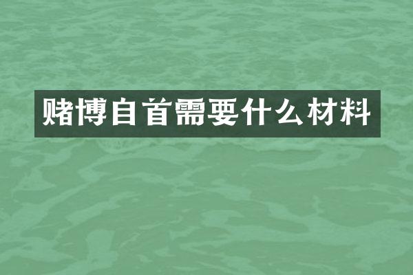 自首需要什么材料