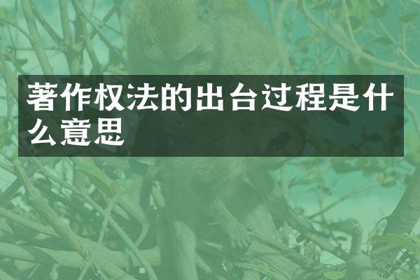 著作权法的出台过程是什么意思