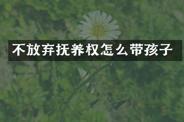 不放弃抚养权怎么带孩子