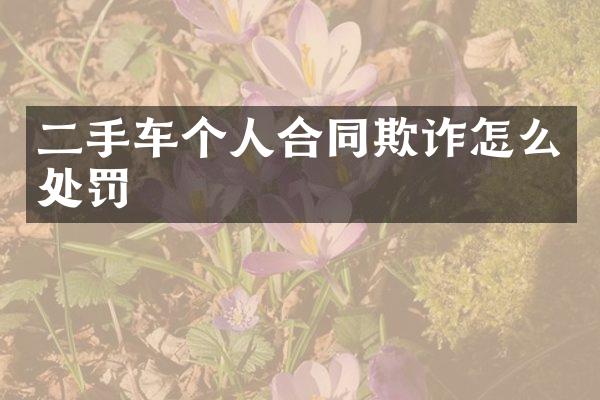 二手车个人合同欺诈怎么处罚