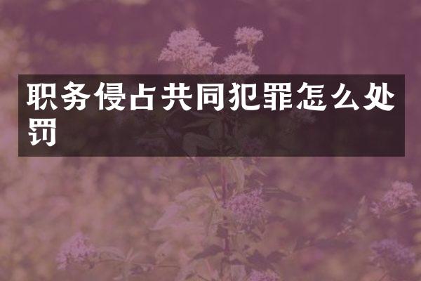 职务侵占共同犯罪怎么处罚