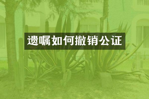 遗嘱如何撤销公证