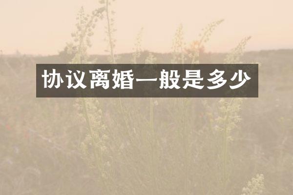 协议离婚一般是多少